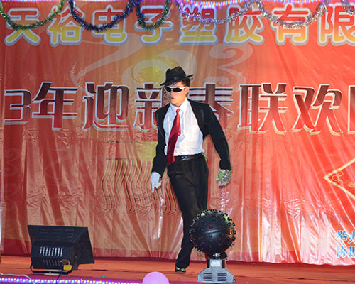 2013年春节晚会舞蹈表演2.JPG